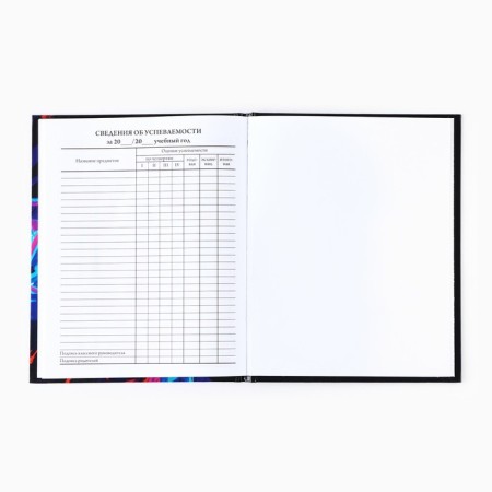 School diary for grade 1-11, in a solid cover, 40 l. "Anime. Guy"-4