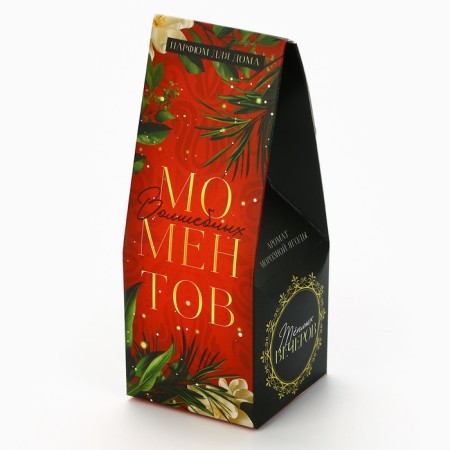 Aromadiffusor aromatic sticks "New Year's collection: magic moments", aroma frosty berry, 30 ml-4
