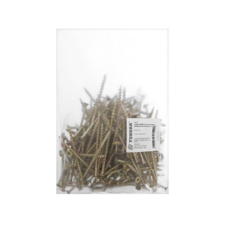 Self -cutting 4.2x76 mm tundra Premium, hide, large threads, pH slings, yellow zinc, 1 kg-1