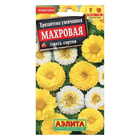Cryzanthemum flowers are crowned with terry, a mixture of colors, o, 0.2 g