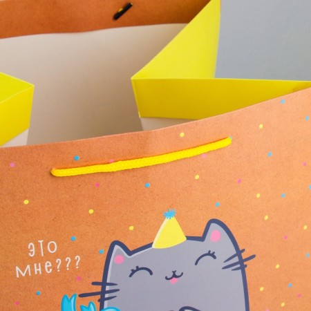 Square gift package, packaging, “cat and cake”, 30 x 30 x 30 cm-5