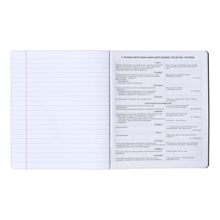 Subject notebook, 48 sheets, ruler, literature Erichkrause "Ves in the root", plastic cover silk-screen covers, Blok OFSET 100%, information block-8