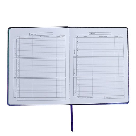 Universal Diary Grade 1-11, 48 sheets "Cat in the raincoat", solid cover of artificial leather, applique, liesse, universal cheat sheet, block 80 g/m2-7