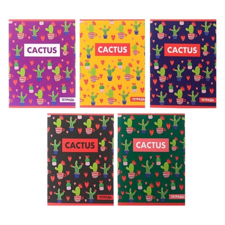 Notebook of 48 sheets in Calligrata Cactus cage, cover covering cardboard, offset unit, mix