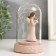 Souvenir Polystone Light "Angel-Bezliky in the flask" MIX 11x6.8x6.8 cm