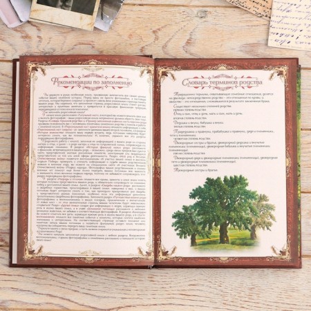 Родословная книга в шкатулке «Древо», 56 листов, набор 3 предмета.-17