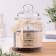 Candle in the bank flavored "Arabica" 180g, combustion time 45h