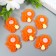 Decor for creativity plastic "Chamomile, rose and God's cow" Orange 3.1x3.6 cm