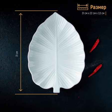 Porcelain dish Magistro "Leaf", 31 × 22 × 3.5 cm, white color-4