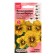 Flower seeds Violet Horned "Sorbet XP Tiger Ai F1", 5 pcs