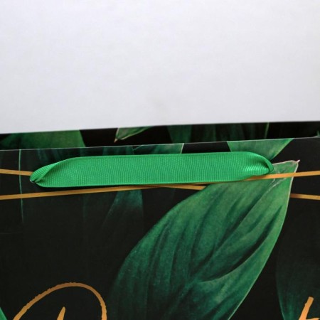 Gift Laminated Horizontal Package, Packaging, Present for You, ML 27 x 23 x 11.5 cm-2