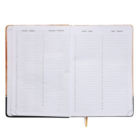 Leduced Diary A5, 160 sheets, Devente. Wild CAT, solid cover of artificial leather with foam rubber, color cut, block 70 g/m2, orange-5