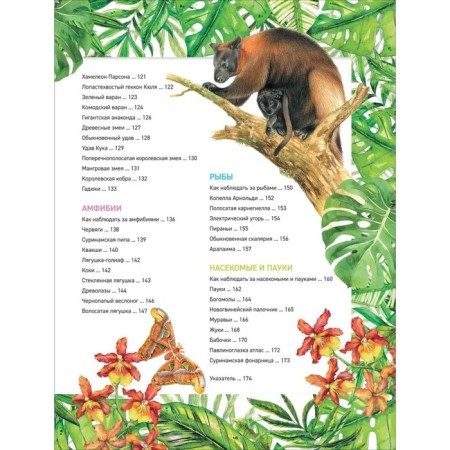 Encyclopedia "Amazing Animals"-4