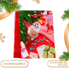 Gift Package 