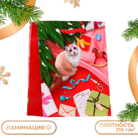 Gift Package "Kitty", 11.5 x 14.5 x 6.5 cm