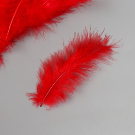 Pen decorative goose down "scarlet" set 40 pcs h = 10-15 cm-1