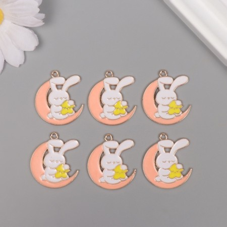 Decor for creativity metal, enamel "Bunny in the pink month" 2.9x2.5 cm-2