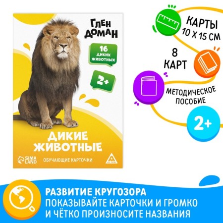 Educational cards according to the method of Glena Doman "Wild Animals", 8 cards, 2+
