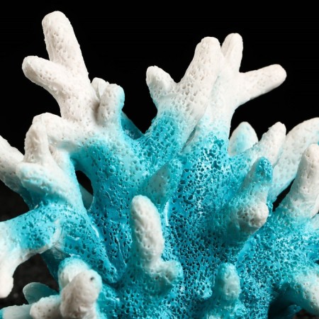 Decorative Coral "Sinulary", 18 x 9 x 14 cm, blue-3