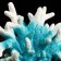 Decorative Coral "Sinulary", 18 x 9 x 14 cm, blue