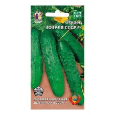 Cucumber seeds 