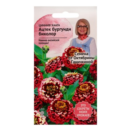 Seeds of Tsinnia Flowers "Haga Aztec Burgundy Bikolor", 10 pcs