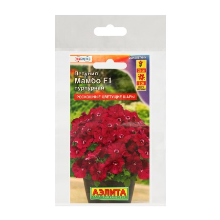 Petunia seeds mambo F1 purple multi -flowered, set 5 pcs-2