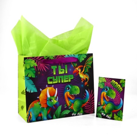 Packet laminated bilateral "dinosaurics", with quiet and postcard, ml, 23 × 27 × 11.5
