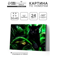 Picture on numbers on canvas with a panther's subframe, 40 x 50 cm