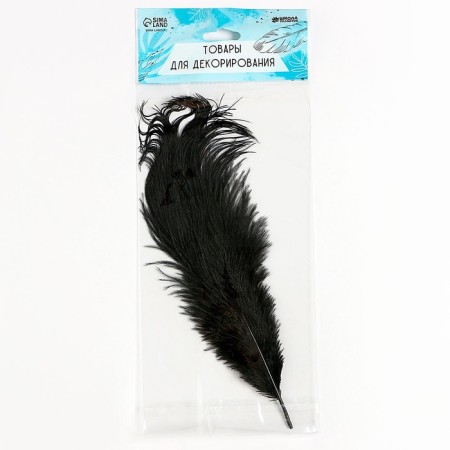 Feather for decor, size: 30-35 cm, black color-6