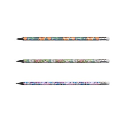 Chernographic pencil with Erichkrause "Flower", HB, Grifel D = 2.2 mm, plastic, three -sided in a tube, mix-5