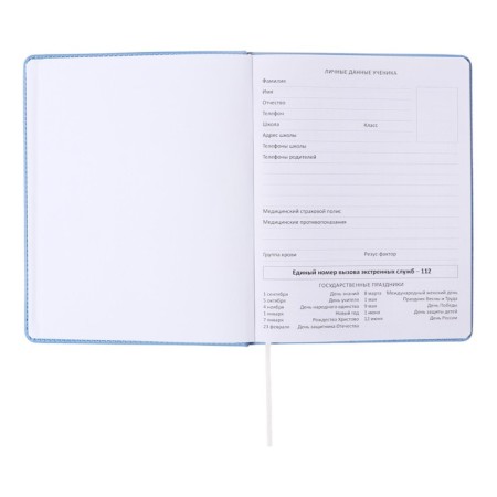 Universal diary for grade 1-11 Modern Concept, solid cover, artificial leather, silkography, liesse, 80 g/m2-3