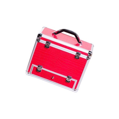 Sex Machine suitcase Diva Wiggler, 2 nozzles, metal, pink color, 17 cm-2