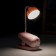 Table lamp on the clothespin "Cartoon" LED 3W USB AKB MIX 5.7x10.5x25 cm Risalux