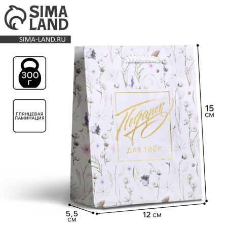 Gift package laminated, packaging, Gift for You, S 12 x 15 x 5.5 cm