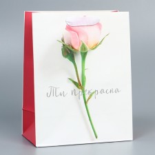 Package Gift Laminated Vertical, packaging, “You are beautiful”, MS 18 x 23 x 10 cm
