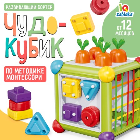 Developing Sorter "Miracle Cube"