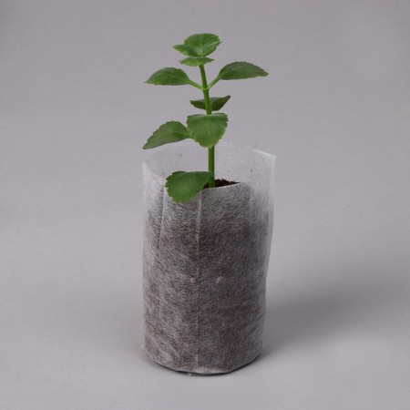 Package for seedlings, 540 ml, 8.9 × 14.5 cm, spanbond density 25 g/m², Greengo-5