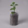 Package for seedlings, 540 ml, 8.9 × 14.5 cm, spanbond density 25 g/m², Greengo