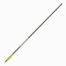 Arrow of Luchnaya, carbox 
