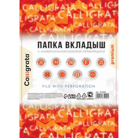 A4, 70 μm, calligrata, dense, glossy, vertical, 50 pieces-1