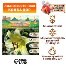Лилия гибридная "Конка Дор", р-р 14/16, 2 шт,