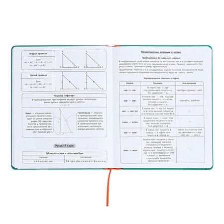 Universal diary for grades 1-11 Excellence, solid cover of artificial leather, silkography, lies, 48 ​​sheets, green-9