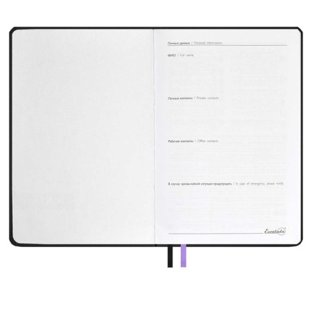 Diary of Leduced A5, 120 Escalada sheets, soft binding, artificial leather "Winner", pancake embossing, silk -screen printing, white offset 70 g/m², lilac-4