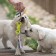 Chewing toy with rope "Bow", 11 cm, mix of flowers