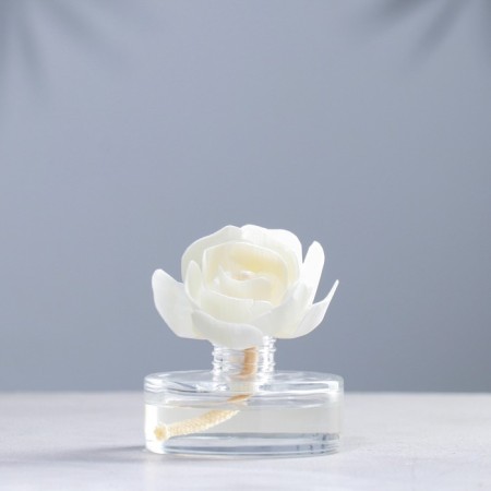 Aromatic diffuser "Breesal. Arome Fleur", 60 ml, a train of magic-1
