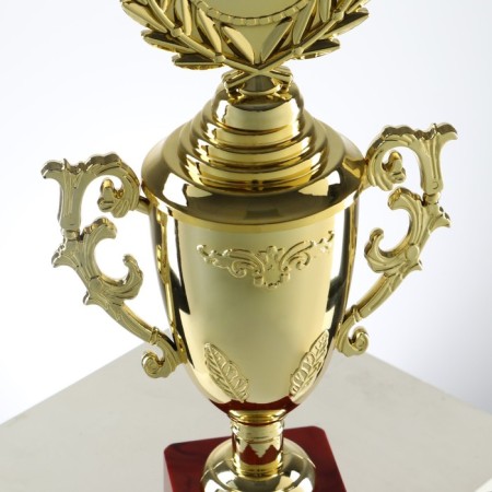 Cup 014, award figure, gold, plastic stand, 32.5 × 16 × 8.5 cm.-4