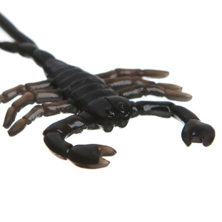 Velcro "Gades", species mix-8