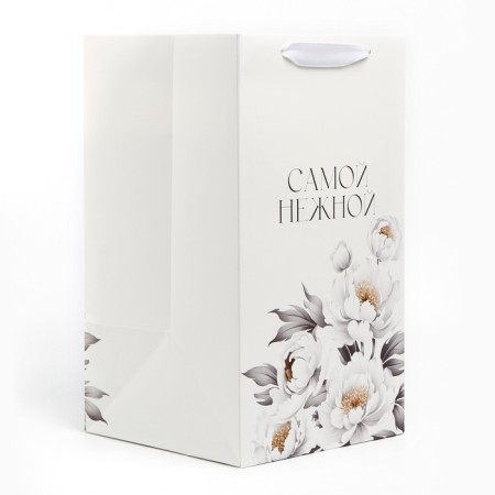 Carriage for colors with a liner for fixation, "the most tender", white, 35 x 20 x 20 cm-2