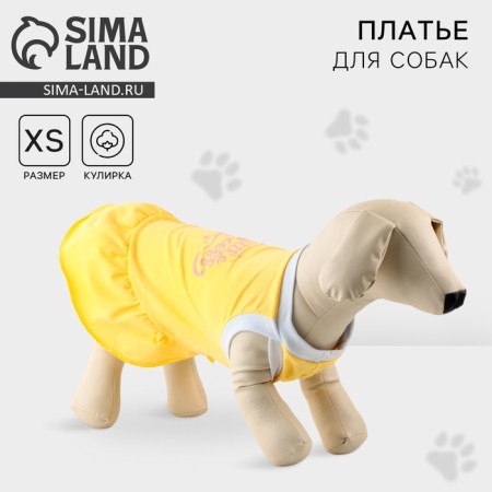 Платье для собак кулирка, XS (ДС 24, ОШ 32-36, ОГ 34-38), Желтое